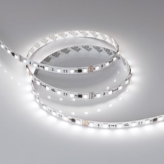 Светодиодная лента SPI-B60-10mm 24V White6000-PX6-RAM (15 W/m, IP20, 5060, 5m)