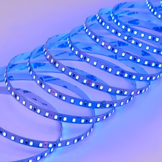 Светодиодная лента Normal-C DL-2835 120led 24V 9,6W IP20 Blue