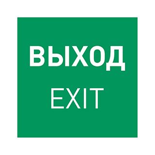 Пиктограмма EMGP-MARK-EXIT-FLAG (Выход) (Arlight, Пластик)