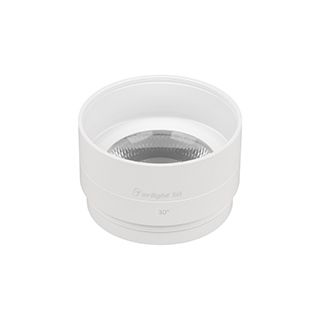 Насадка с фиксированным углом LGD-ARTIFACT-LENS-R65 (WH, 30 deg) (Arlight, Металл)