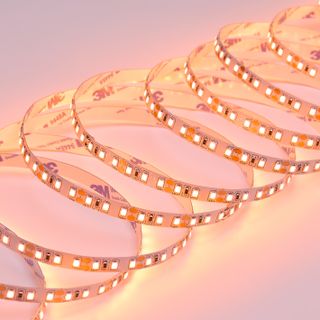 Светодиодная лента Normal-C DL-2835 120led 12V 9,6W IP20 Orange