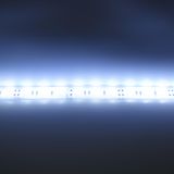 c_31097.jpg