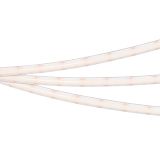 f_DL-06900-0517.jpg