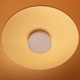 e_DL-12400-0501.jpg