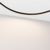 c_DL-12600-0404.jpg