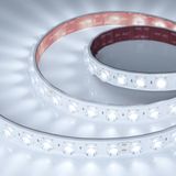 d_DL-06900-0361.jpg