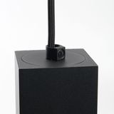 d_48431.jpg