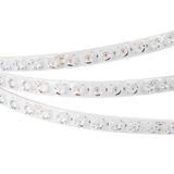 e_DL-06900-0361.jpg