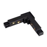 b_DL-12600-0176.jpg