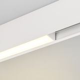 c_DL-12600-0293.jpg