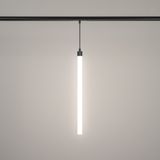 d_DL-12600-0366.jpg