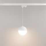 c_DL-12115-0045.jpg