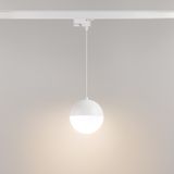 a_DL-12114-0017.jpg