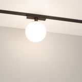 b_DL-12600-0815.jpg