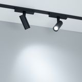 d_DL-12600-0830.jpg