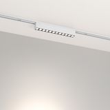 a_DL-12600-0794.jpg
