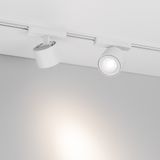 b_DL-12600-0810.jpg