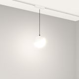 c_DL-12600-0764.jpg