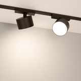 c_DL-12600-0811.jpg