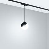 a_DL-12600-0762.jpg