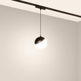 e_DL-12600-0762.jpg