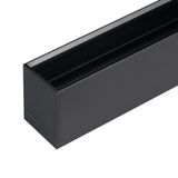 a_DL-12600-0919.jpg
