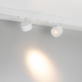 e_DL-12600-0565.jpg