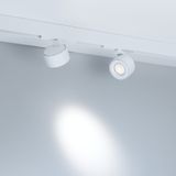 b_DL-12600-0565.jpg