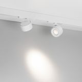 a_DL-12600-0565.jpg