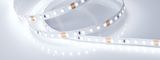 f_DL-06900-0127.jpg
