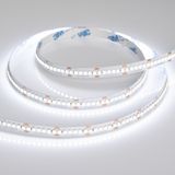 e_DL-06900-0157.jpg