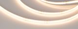 d_DL-06143-0028.jpg