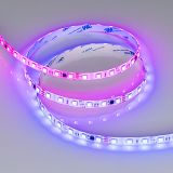 d_DL-06400-0073.jpg