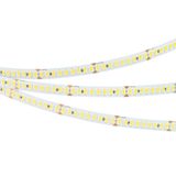 e_DL-06300-0097.jpg