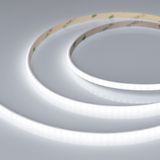e_DL-06900-0469.jpg