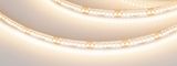 d_DL-06900-0327.jpg