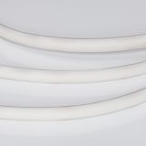 a_DL-06600-0004.jpg