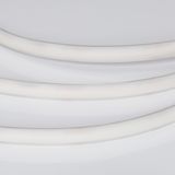 d_DL-06600-0004.jpg