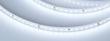 e_DL-06900-0283.jpg