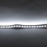 c_55472.jpg