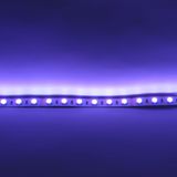 c_31011.jpg