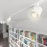 b_32511.jpg