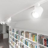 f_41605.jpg