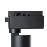 e_41612.jpg