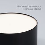 d_48079.jpg