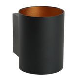 a_48433.jpg