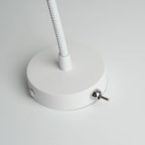 e_48441.jpg