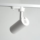 c_48542.jpg