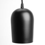 d_48555.jpg