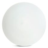 b_51110.jpg
